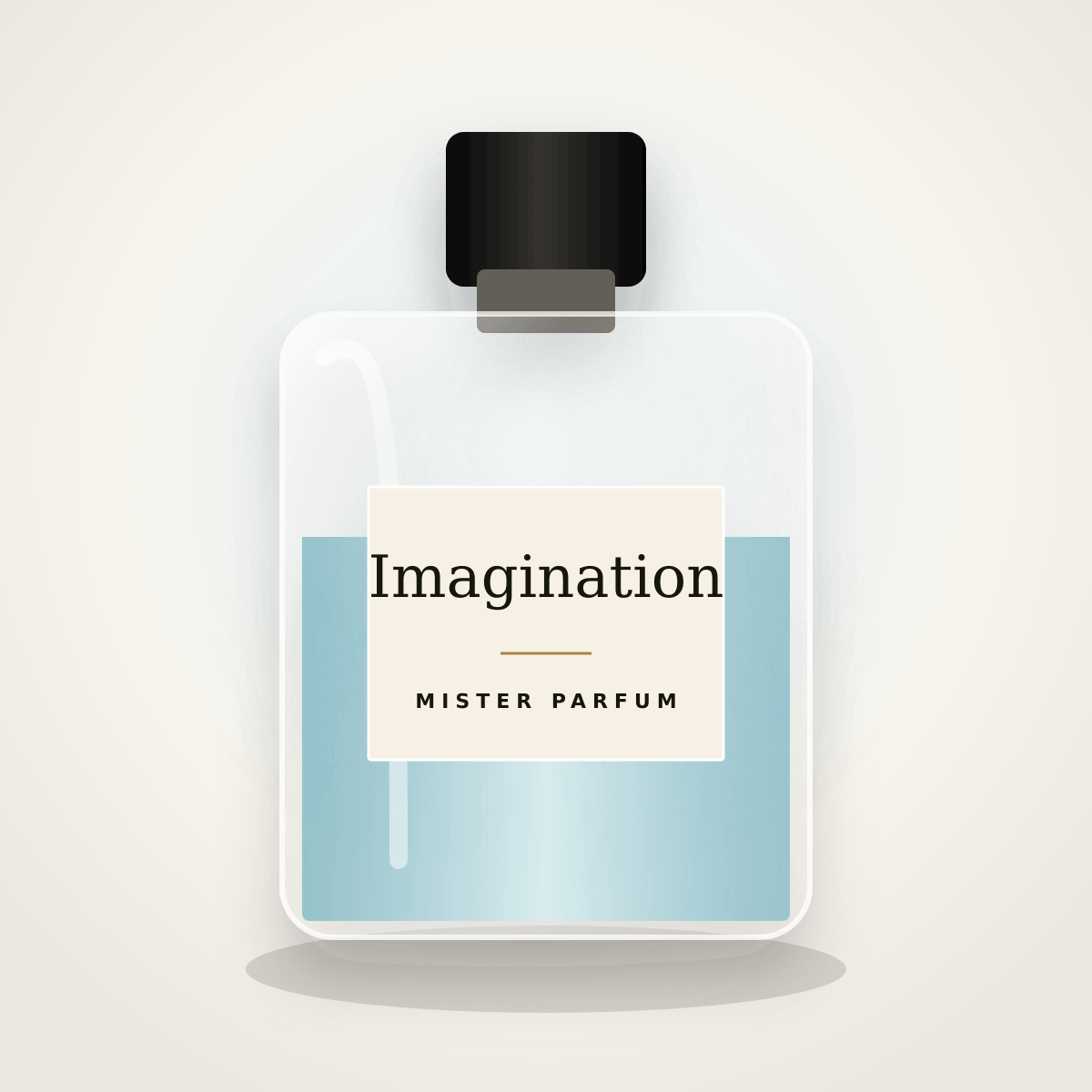 Imagination Mister Parfum atiri