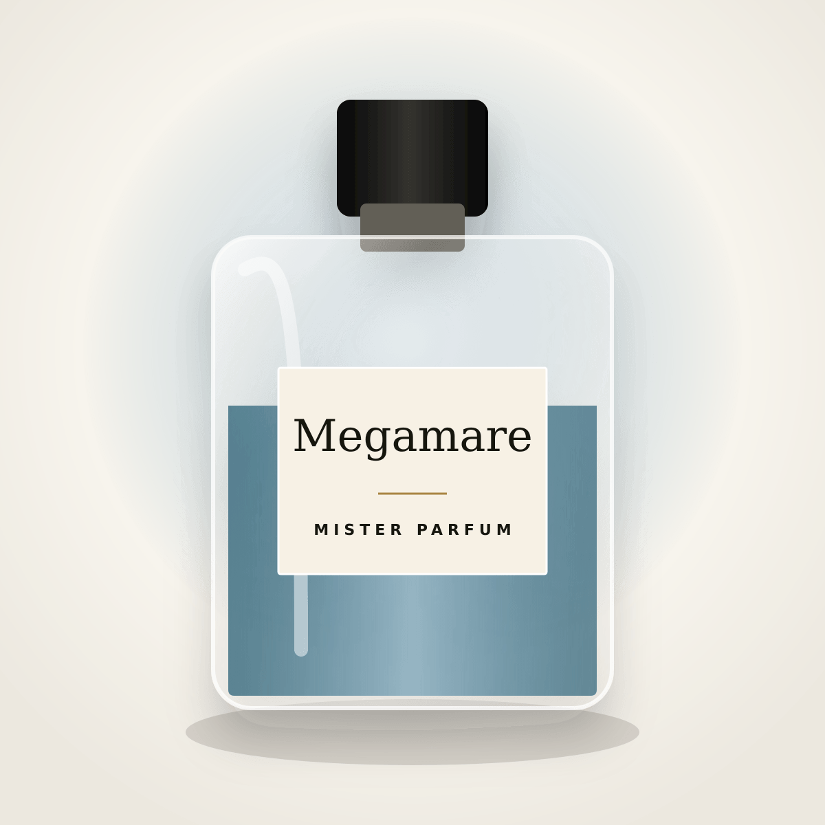 Megamare Mister Parfum atiri